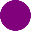2" Color Coding Circles Purple